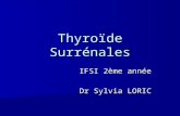 Thyroïde Surrénales IFSI 2ème année Dr Sylvia LORIC.