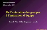 I. Pelc – MMISS - 2004 Prof. I. Pelc - CHU Brugmann - U.L.B. De l’animation des groupes à l’animation d’équipe Séminaire MMISS 15 novembre 2004.