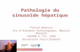 Pathologie du sinusoïde hépatique Pierre Bedossa Sce d’Anatomie Pathologique, Hôpital Beaujon INSERM U 773, CRB3 Université Paris-Diderot.