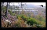 La Faune Pyrénéenne Un patrimoine naturel précieux...