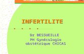 INFERTILITE Dr BESSUEILLE PH Gynécologie obstétrique CHICAS.