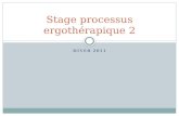 HIVER 2011 Stage processus ergothérapique 2. 20 apprentissages 4 compétences 9 apprentissages clés.