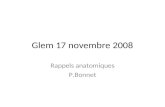 Glem 17 novembre 2008 Rappels anatomiques P.Bonnet.