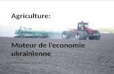 Journée Ukraine UbiFrance 26 juin 2014 Agriculture: Moteur de l’economie ukrainienne.