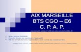AIX MARSEILLE BTS CGO – E6 C. P. A. P. georges.cherry@ac-aix-marseille.fr georges.cherry@ac-aix-marseille.fr Mise à jour au 01/02/2010 Conseils donnés.