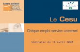 1 Séminaire du 11 avril 2008. 2 Le développement des services à la personne  Les enjeux  Les dispositifs : - Cesu bancaire - Cesu préfinancé Le Cesu.