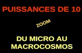 . ZOOM ZOOM PUISSANCES DE 10 DU MICRO AU MACROCOSMOS.