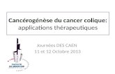 Cancérogénèse du cancer colique: applications thérapeutiques Journées DES CAEN 11 et 12 Octobre 2013.