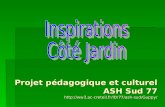 Projet pédagogique et culturel ASH Sud 77