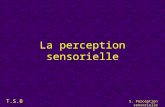 T.S.B. 5. Perception sensorielle La perception sensorielle.