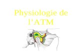 Département de Physiologie Paris V Physiologie de l’ATM.
