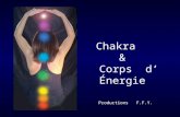Chakra & Corps d’ Énergie Productions F.F.Y.. Le Prana est l’ énergie bioélectrique de l’ air.