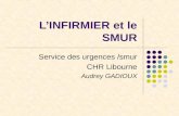 L’INFIRMIER et le SMUR Service des urgences /smur CHR Libourne Audrey GADIOUX.