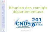 Service jeunesse, sports et vie associative DDCSPP Haute-Marne 2010 Réunion des comités départementaux.