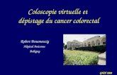 GHIF 2008 Coloscopie virtuelle et dépistage du cancer colorectal Robert Benamouzig Hôpital Avicenne Bobigny.