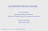 Année 2009-2010 Prof. Ch. Hanzen Les dystocies chez les ruminants Les dystocies chez les ruminants Prof. Ch. Hanzen Faculté de médecine vétérinaire Service.