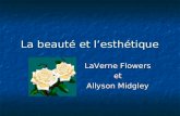 La beauté et l’esthétique LaVerne Flowers et Allyson Midgley.