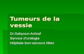 Tumeurs de la vessie Dr.Sahyoun Achraf Service d’urologie Hôpitale bon-secours Metz.