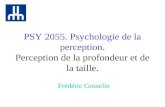 PSY 2055. Psychologie de la perception. Perception de la profondeur et de la taille. Frédéric Gosselin.