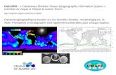 CalcOBISCalcOBIS CalcOBIS - « Calcareous Plankton Ocean Biogeographic Information System » Colomban de Vargas et Thibault de Garidel Thoron