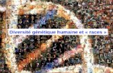 Bertrand JORDAN Informations débats 21 novembre 2006 Diversité génétique humaine et « races »