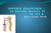 Marie-Josèphe DREYER. 2 I. Généralités II. Histologie III. Physiologie du neurone IV. Système nerveux périphérique V. Système nerveux central A. La moelle.