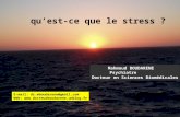 Qu’est-ce que le stress ? Mahmoud BOUDARENE Psychiatre Docteur en Sciences Biomédicales E-mail: dr.mboudarene@gmail.com Web: .