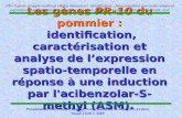 Les gènes PR-10 du pommier : identification, caractérisation et analyse de l’expression spatio-temporelle en réponse à une induction par l'acibenzolar-S-methyl.