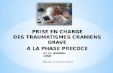 PRISE EN CHARGE DES TRAUMATISMES CRANIENS GRAVE A LA PHASE PRECOCE Dr EL AMRANI HIND Tétouan le 24 Avril 2014.