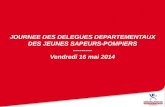 JOURNEE DES DELEGUES DEPARTEMENTAUX DES JEUNES SAPEURS-POMPIERS --------- Vendredi 16 mai 2014.