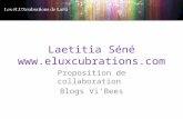 Laetitia Séné  Proposition de collaboration Blogs Vi’Bees.
