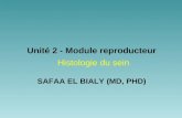 SAFAA EL BIALY (MD, PHD) Unité 2 - Module reproducteur Histologie du sein.