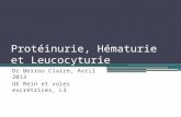 Protéinurie, Hématurie et Leucocyturie Dr Berrou Claire, Avril 2013 UE Rein et voies excrétrices, L3.