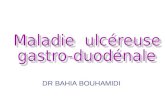 DR BAHIA BOUHAMIDI. Plan Introduction Epidémiologie Etiologies Sx cliniques Sx paracliniques Evolution Traitement Conclusion.