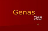 Genas Voyage d’Antan. 1900 Grande rue L’entrée de Genas.