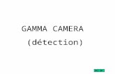 GAMMA CAMERA (détection). Les détecteurs à rayons  sont : - les chambres à ionisations - les détecteurs semi-conducteurs - les détecteurs à scintillations.