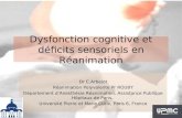 Dysfonction cognitive et déficits sensoriels en Réanimation Dr C.Arbelot Réanimation Polyvalente Pr ROUBY Département d’Anesthésie Réanimation, Assistance.