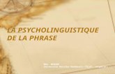 LA PSYCHOLINGUISTIQUE DE LA PHRASE Mme. MEDANE Université Hassiba Benbouali-Chlef- (Algérie)