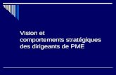 Vision et comportements stratégiques des dirigeants de PME.