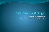 Atelier Transversal Mercredi 5 novembre 2014 à Foix.