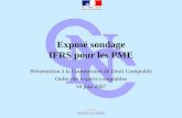 Exposé sondage IFRS pour les PME Présentation à la Commission de Droit Comptable Ordre des experts comptables 18 juin 2007.