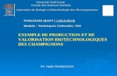 PARCOURS (BAPV ) ( 2012-2013) Module : Techniques Culturales: TD2 EXEMPLE DE PRODUCTION ET DE VALORISATION BIOTECHNOLOGIQUES DES CHAMPIGNONS Pr: Yedir.