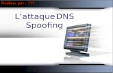 Réalisée par : ??? L’attaque DNS Spoofing. Spoofing de l’identificateur DNS. Présentation L’attaque DNS Spoofing L’empoisonnement du cache DNS. Outils.