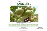 Quinzaine de l’environnement 2014- Ségou Expériences de SAHEL ECO dans l’accompagnement des entrepreneurs de produits forestiers non ligneux - PFNL Tel.