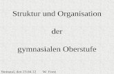 Struktur und Organisation der gymnasialen Oberstufe Steinatal, den 23.04.12 W. Forst.