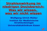 Strahlenwirkung im niedrigen Dosisbereich: Was wir wissen, was wir nicht wissen Wolfgang-Ulrich Müller Institut für Medizinische Strahlenbiologie Universitätsklinikum.