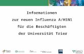 Informationen zur neuen Influenza A/H1N1 für die Beschäftigten der Universität Trier.