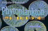 Phytoplankton einzellige Meeresorganismen Betreiben Photosynthese kurzer Lebenszyklus von etwa 6 Tagen reagieren sehr schnell auf Umweltveränderungen.