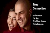 True Connection 4 Elemente für das Erblühen deiner Beziehungen.