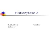 Histiozytose X 6.09.2011 Kerstin Schäfer. Synonyme Histiozytose X Eosinophiles Granulom Abt-Letterer- Siwe- Syndrom Hand- Schüller- Christian- Krankheit.